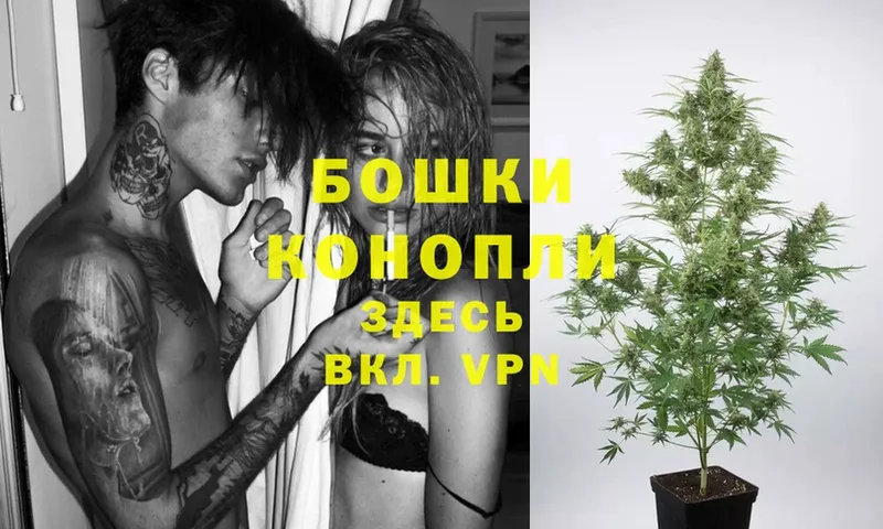 darknet телеграм  Амурск  Шишки марихуана THC 21% 